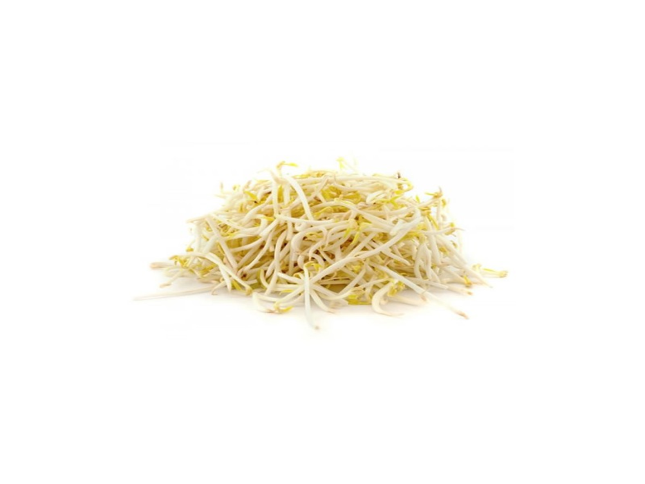 Germen de Soya Domo (250 g)