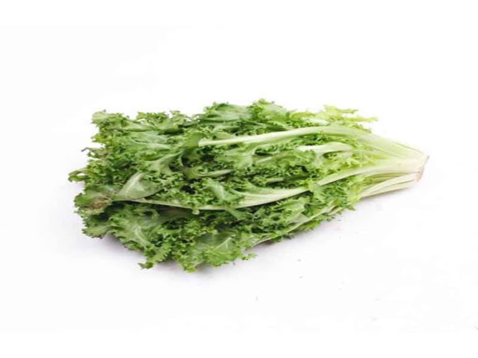 Lechuga Escarola pieza