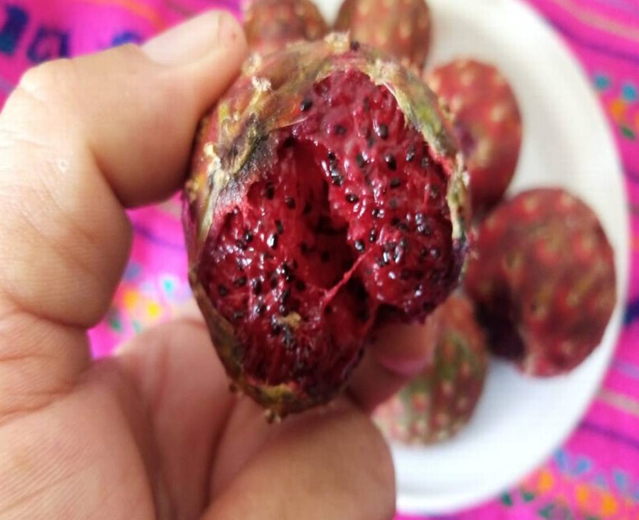 Pitaya fuera de temporada kilo