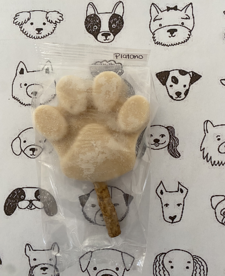 Paleta de Hielo Healthy Dog Chica (Variedad Sabores) pieza